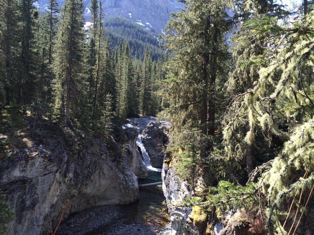 Ribbon Falls is one of Alberta's best spring hikes.